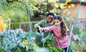 Movement driving innovation, sustainability, and smarter water use